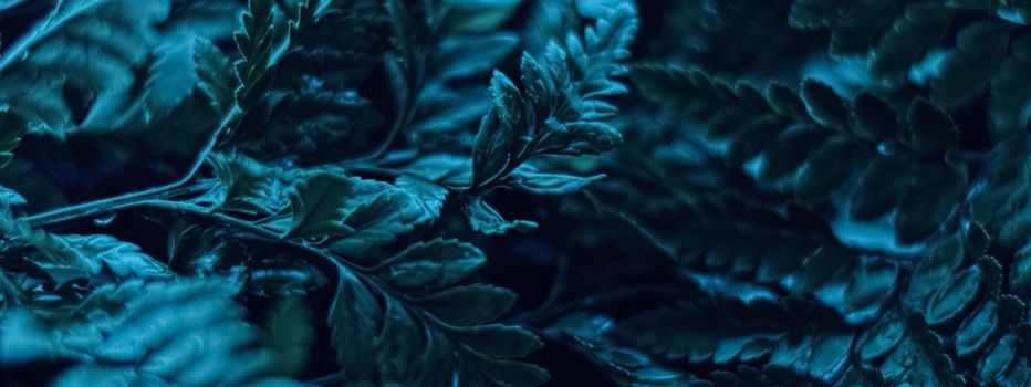 Blue plant leaves at night as surreal botanical background, minimal design backdrop