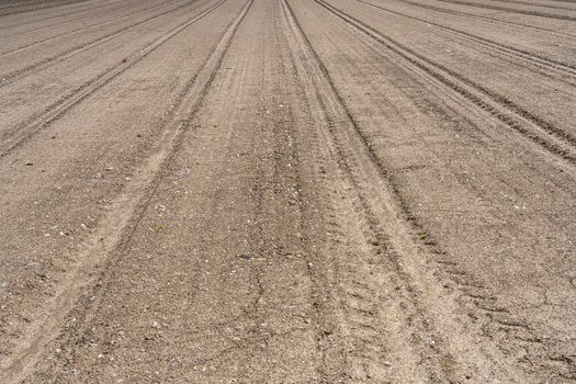 view of the soil of a plowed and pressed field, ready for sowing in spring