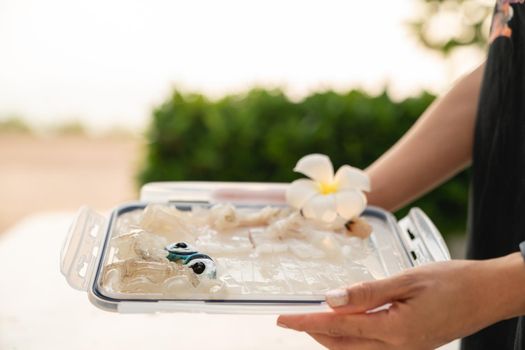 Sliced fresh raw squid sashimi, Serving in plastic tray.