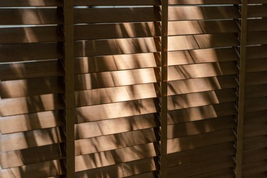 Blinds window decoration interior of room with shadow.