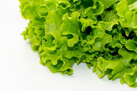 lettuce leaf on a white background close-up. isolate. High quality photo