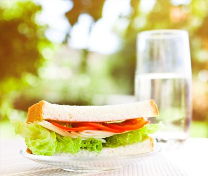 Vegetarian low carb sandwich - healthy diet, homemade and eating outside concept. Enjoy a well-balanced lunch