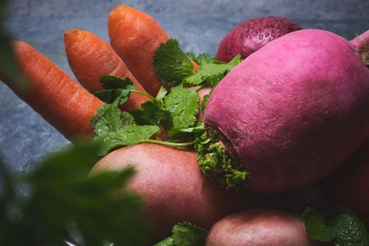 Turnip, cilantro, potatoes, carrots and red onions on a dark background