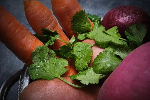 Turnip, cilantro, potatoes, carrots and red onions on a dark background