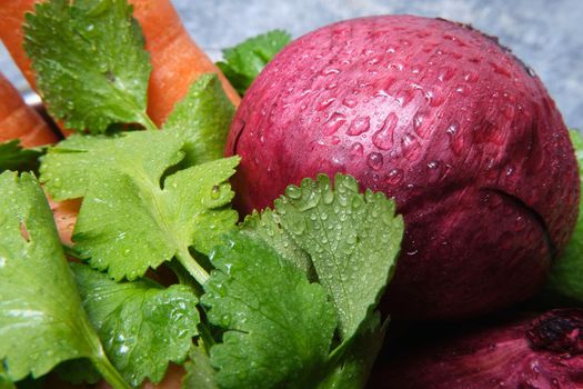 Turnip, cilantro, potatoes, carrots and red onions on a dark background