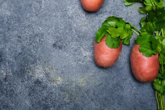 Turnip, cilantro, potatoes, carrots and red onions on a dark background