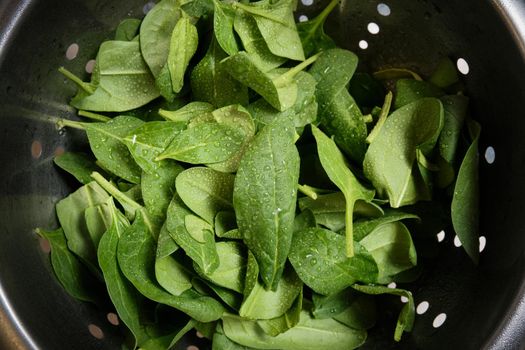 Spinach leaves covered with water drops in a metal plate