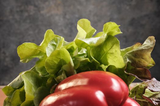 Cucumber, tomatoes, peppers, garlic and lettuce on a dark background