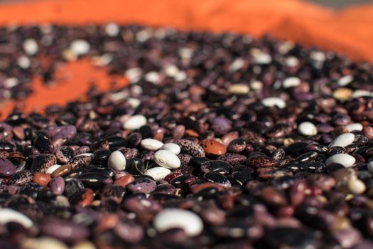 Assortment of colorful beans being dried in the sun on an orange tarp