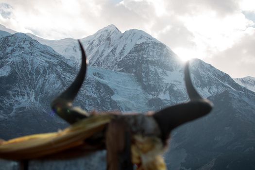 Animal horns on a stick in front of a snowy mountain with bright sun