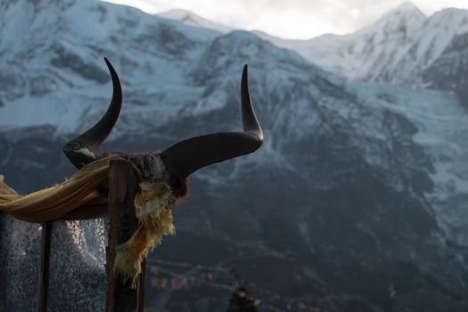 Animal horns on a stick in front of a snowy mountain with bright sun