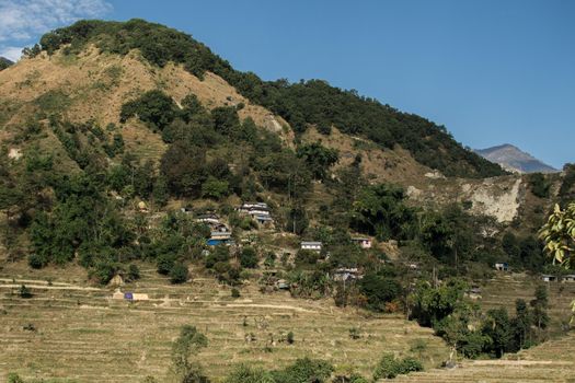 Village by rice fields on a hillside at Annapurna circuit, Nepal