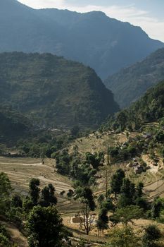 View over huts and terraced rice fields at Annapurna circuit in Nepal