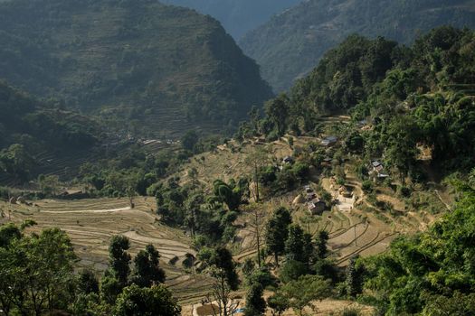 View over huts and terraced rice fields at Annapurna circuit in Nepal