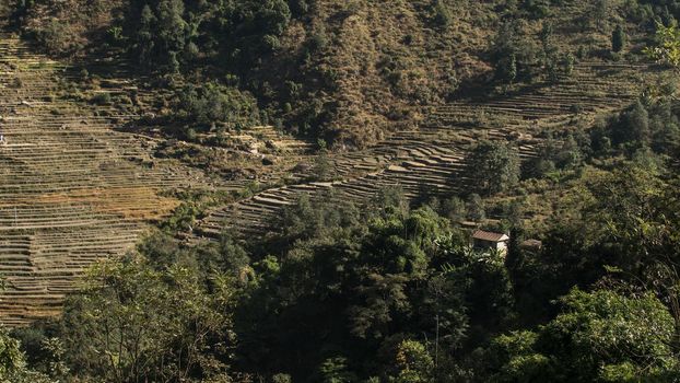 View over huts and terraced rice fields at Annapurna circuit in Nepal