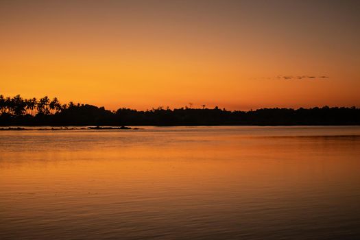 A bright orange sunset sky reflecting in the calm ocean with palm tree silhouettes in the background, Ngwesaung, Irrawaddy, western Myanmar