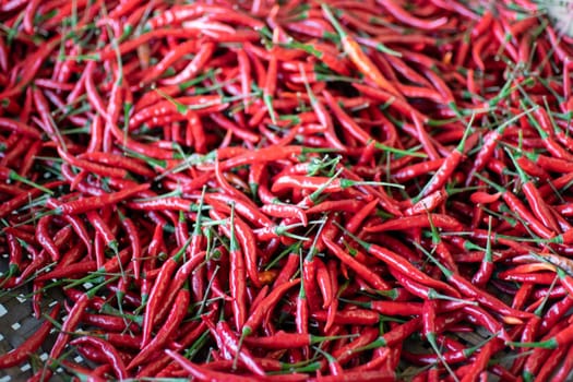 Close up of fresh red hot chilli peppers with green  detail stems at a rural market in Myanmar