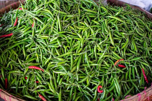 Close up of fresh green vibrant hot chilli peppers and a few red ones at a rural market in Myanmar