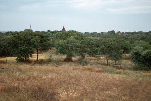 BAGAN, NYAUNG-U, MYANMAR - 2 JANUARY 2020: A few historical temples peaking up from the forest and dry fields