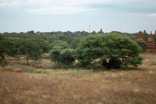 BAGAN, NYAUNG-U, MYANMAR - 2 JANUARY 2020: A few historical temples peaking up from the forest and dry fields