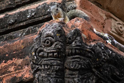 A small squirrel sitting on top of a decorated historic temple wall eating a flower in Bagan, Myanmar