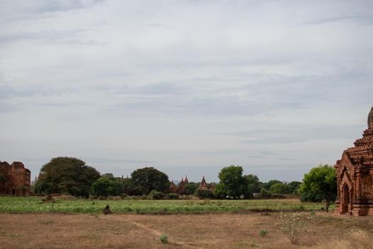 BAGAN, NYAUNG-U, MYANMAR - 3 JANUARY 2020: Several old and historical temple pagodas in the distance from an open dry grass field