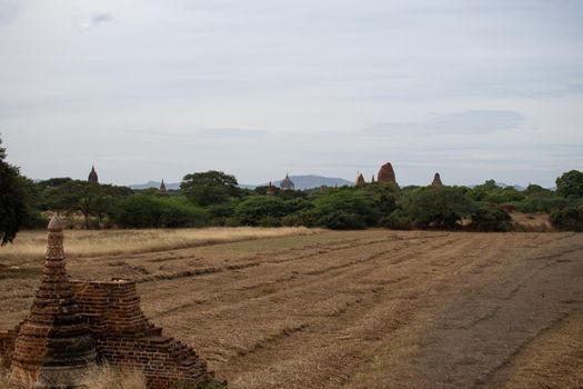 BAGAN, NYAUNG-U, MYANMAR - 3 JANUARY 2020: Several old and historical temple pagodas and green vegetation in the distance from an open dry grass and hay field