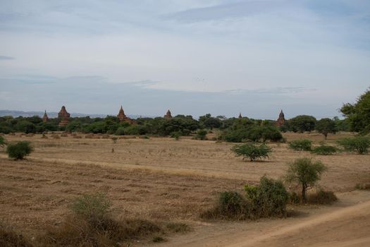 BAGAN, NYAUNG-U, MYANMAR - 3 JANUARY 2020: Several old and historical temple pagodas and green vegetation in the distance from an open dry grass and hay field