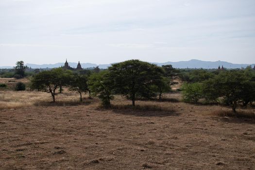 BAGAN, NYAUNG-U, MYANMAR - 3 JANUARY 2020: Several old and historical temple pagodas and green vegetation in the distance from an open dry grass and hay field