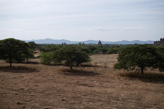 BAGAN, NYAUNG-U, MYANMAR - 3 JANUARY 2020: Several old and historical temple pagodas and green vegetation in the distance from an open dry grass and hay field