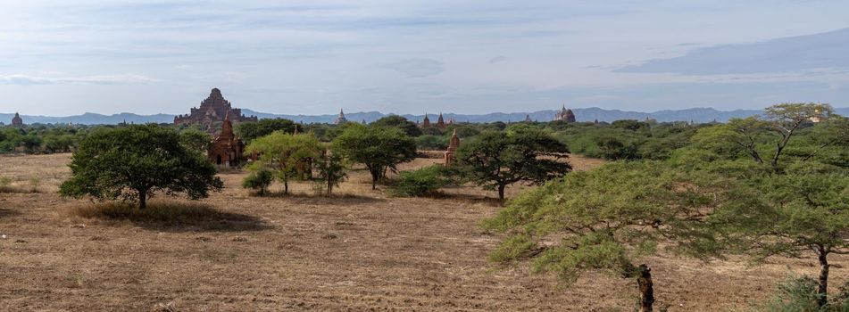 BAGAN, NYAUNG-U, MYANMAR - 3 JANUARY 2020: Several old and historical temple pagodas and green vegetation in the distance from an open dry grass and hay field