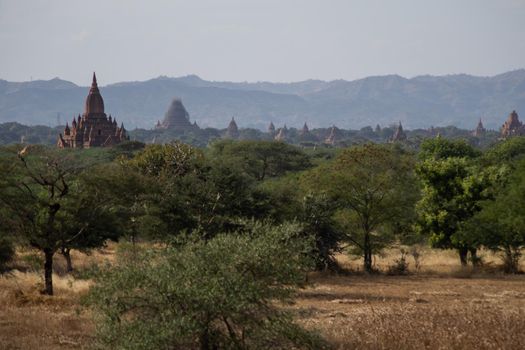 BAGAN, NYAUNG-U, MYANMAR - 3 JANUARY 2020: The top of old and historical temples peaking out above the tree vegetation in the distance from a dry grass field