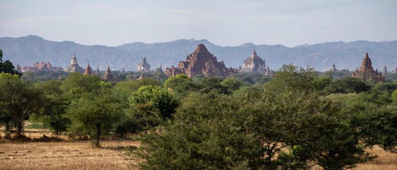 BAGAN, NYAUNG-U, MYANMAR - 3 JANUARY 2020: The top of old and historical temples peaking out above the tree vegetation in the distance