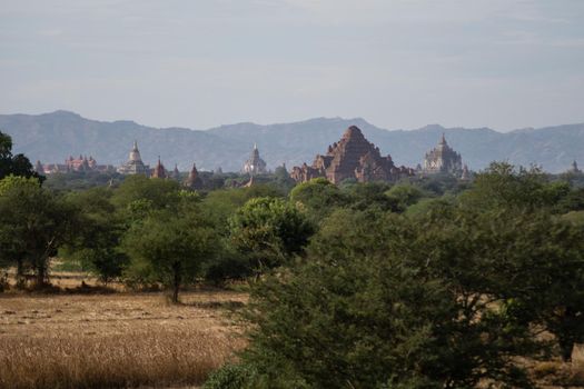 BAGAN, NYAUNG-U, MYANMAR - 3 JANUARY 2020: The top of old and historical temples peaking out above the tree vegetation in the distance