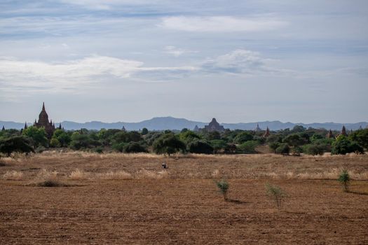 BAGAN, NYAUNG-U, MYANMAR - 3 JANUARY 2020: The top of old and historical temples peaking out above the tree vegetation in the distance from a dry grass field