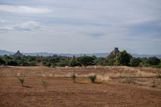 BAGAN, NYAUNG-U, MYANMAR - 3 JANUARY 2020: The top of old and historical temples peaking out above the tree vegetation in the distance from a dry grass field