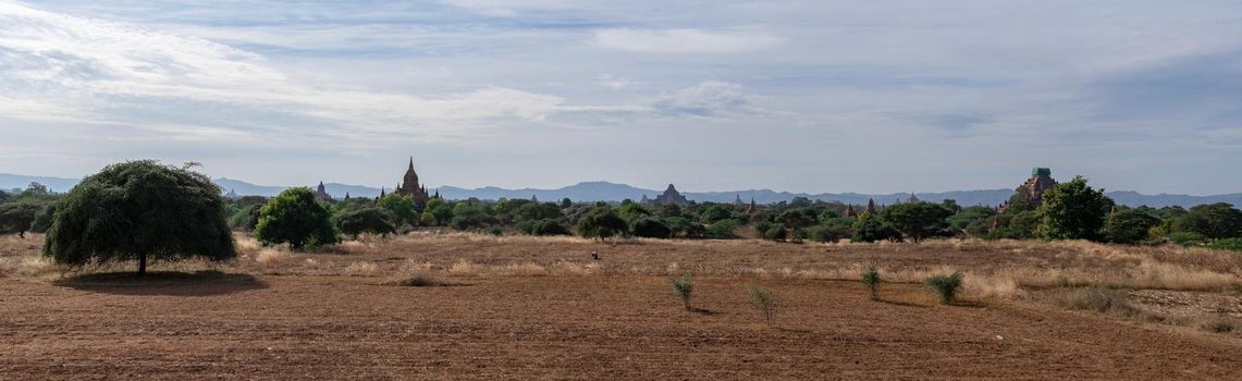 BAGAN, NYAUNG-U, MYANMAR - 3 JANUARY 2020: The top of old and historical temples peaking out above the tree vegetation in the distance from a dry grass field