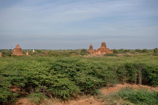 BAGAN, NYAUNG-U, MYANMAR - 3 JANUARY 2020: The top of old and historical temples peaking out above the tree vegetation in the distance