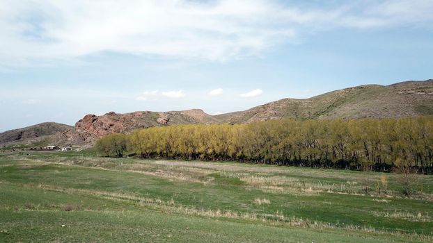 A small green oasis in a gorge among the steppes. Trees grow, you can hide from the sun in the shade. Green grass all around. In the distance, hills with rocks. Blue sky and clouds. Kazakhstan