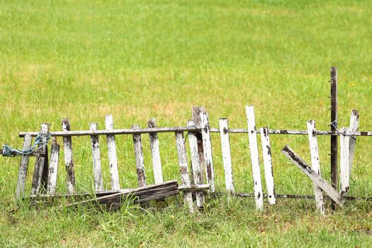 Closeup old and weathered wooden fence on grass field, vintage country village scenery in nature