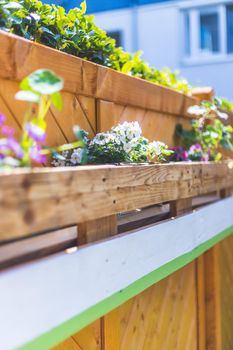 Spring flowers on self-made wooden flower box, euro palette