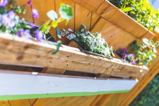 Spring flowers on self-made wooden flower box, euro palette