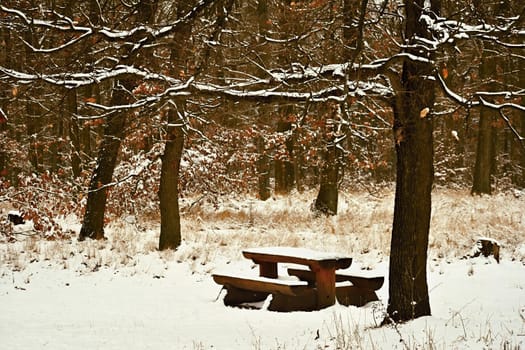 Winter landscape - frosty trees in the forest. Nature covered with snow. Beautiful seasonal natural background.