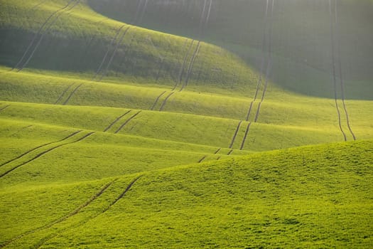 Beautiful spring landscape with green field. Waves and hills with grass in Moravian Tuscany - Kyjov.