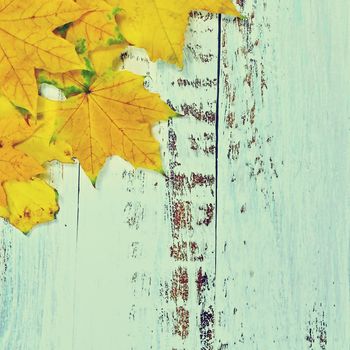 Autumn background with colored leaves on wooden board. Flat lay, top view, copy space.