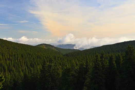 Beautiful landscape with forest and sky on mountains. Pure nature around Jeseníky - Czech Republic - Europe.