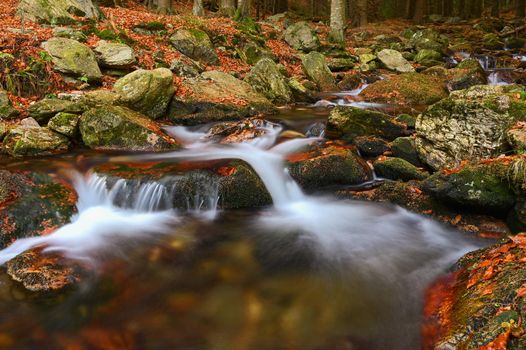 Beautiful colorful background with river and stones in autumn time. White Opava Waterfalls - Jeseniky Mountains - Czech Republic.