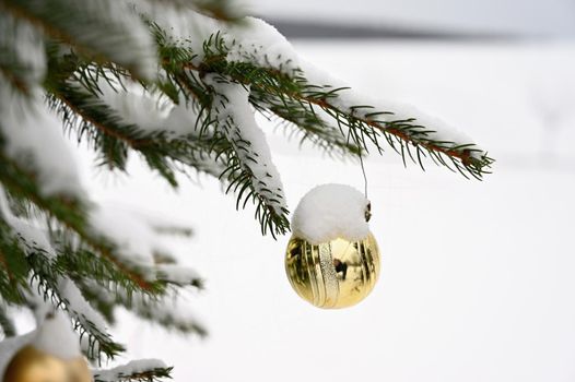 Christmas tree decorations. Snow on the branches. Concept for Christmas and Winter Time.