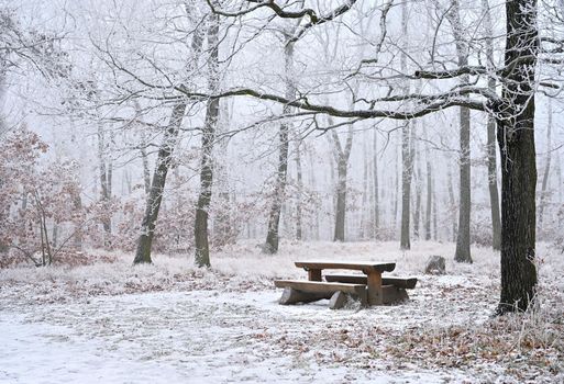 Snowy trees in a forest with a bench and a table for rest. Beautiful concept for winter, nature and forest.