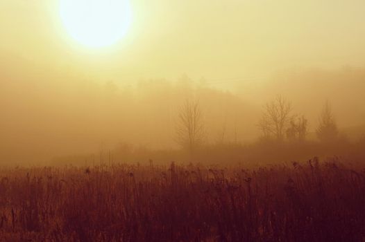 Beautiful shot of morning nature with landscape, fog and sun.